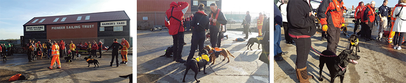 Search and Rescue dogs