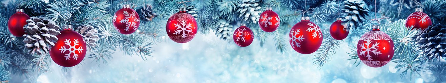 Fantastic Christmas specials from the Chandlery