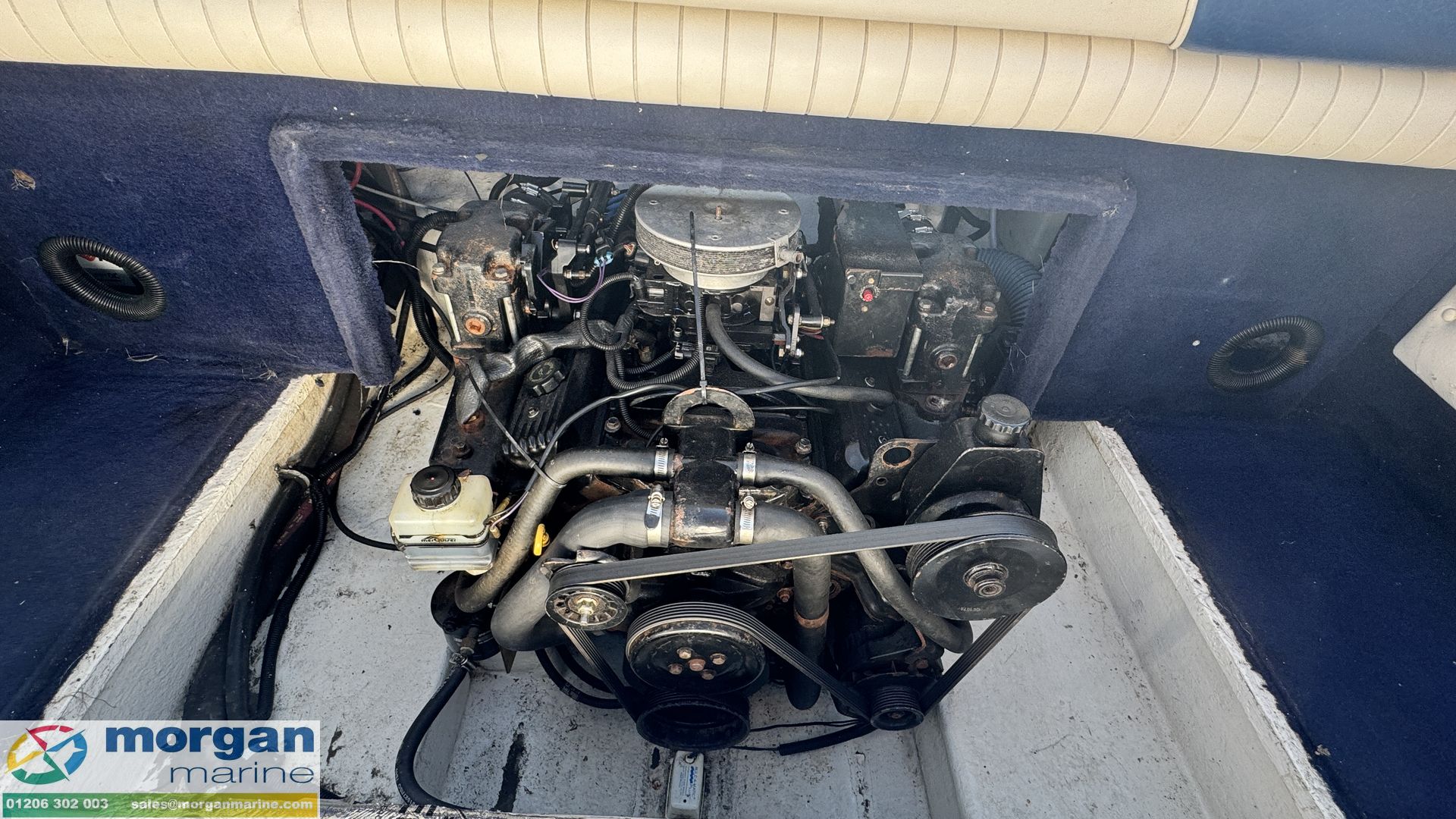 Monterey 236 -