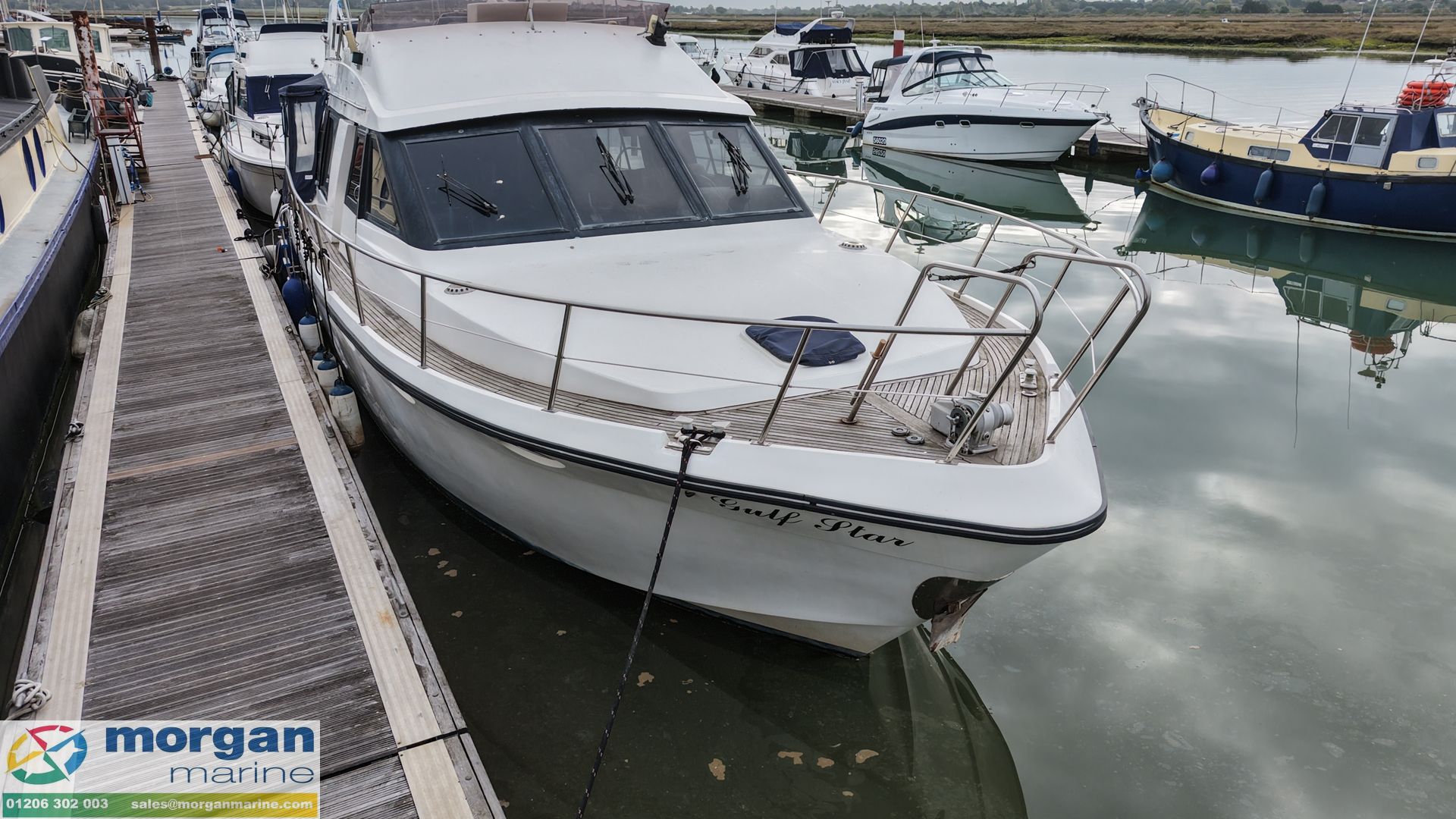 Birchwood TS44 -