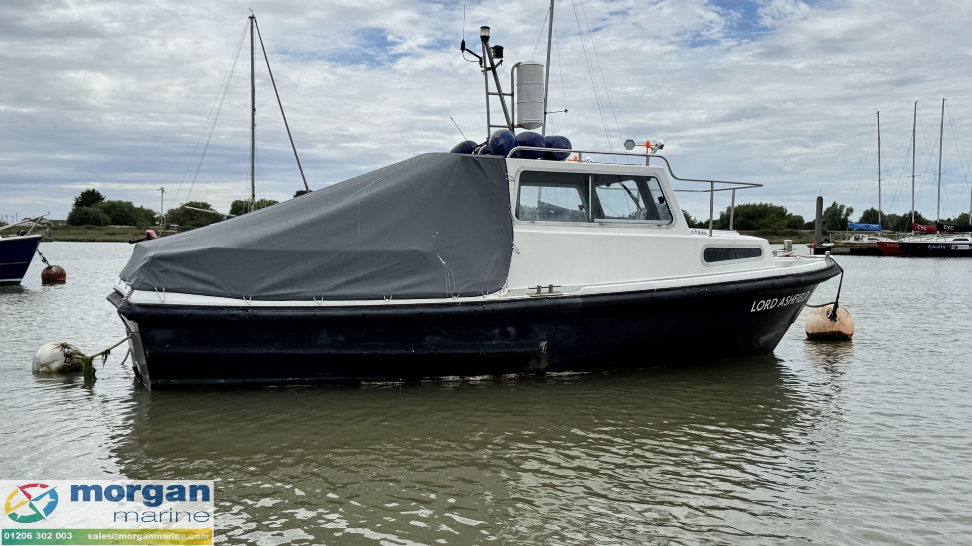 Mitchell 22 Sea Angler MK II -