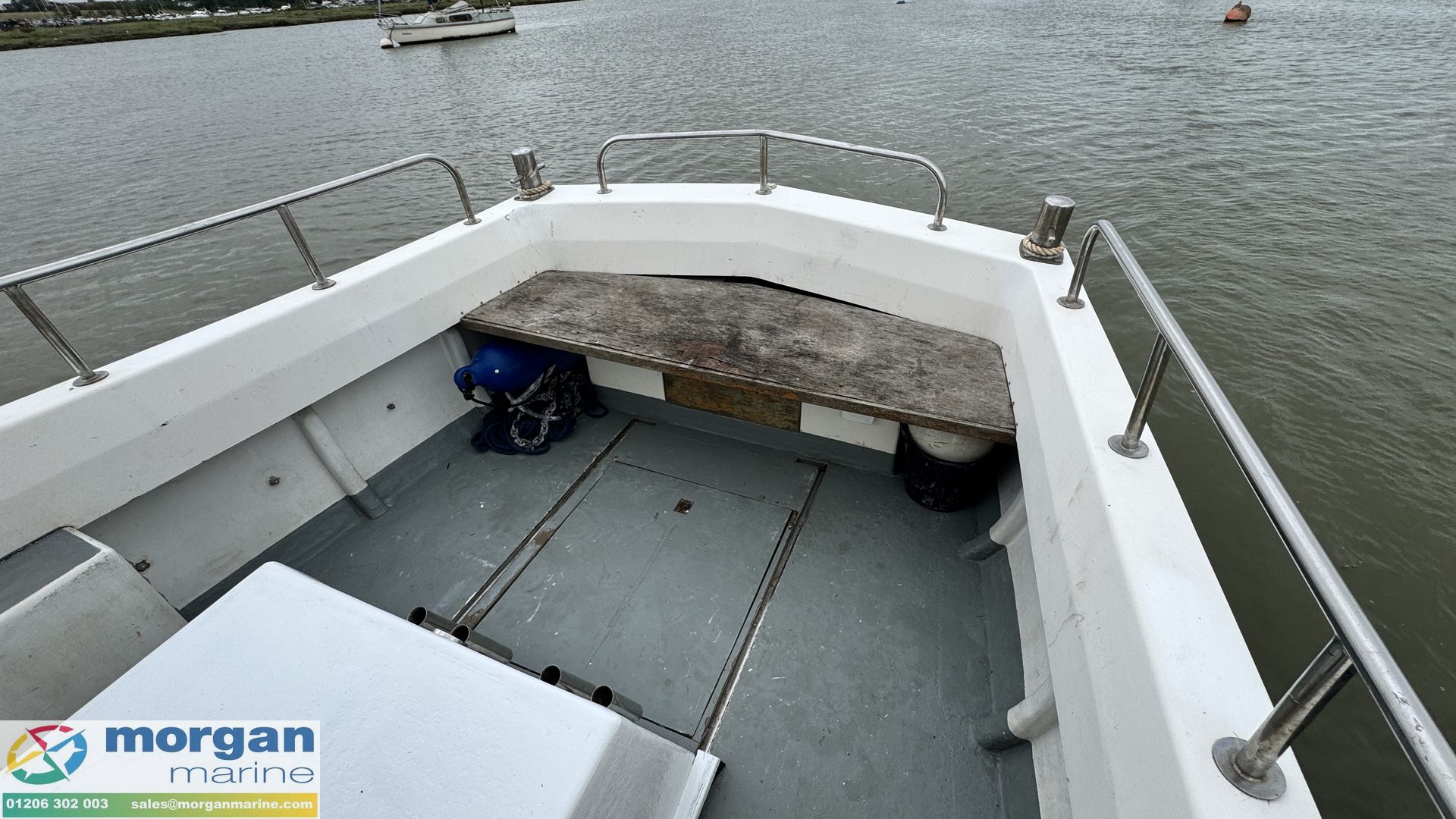 Mitchell 22 Sea Angler MK II -