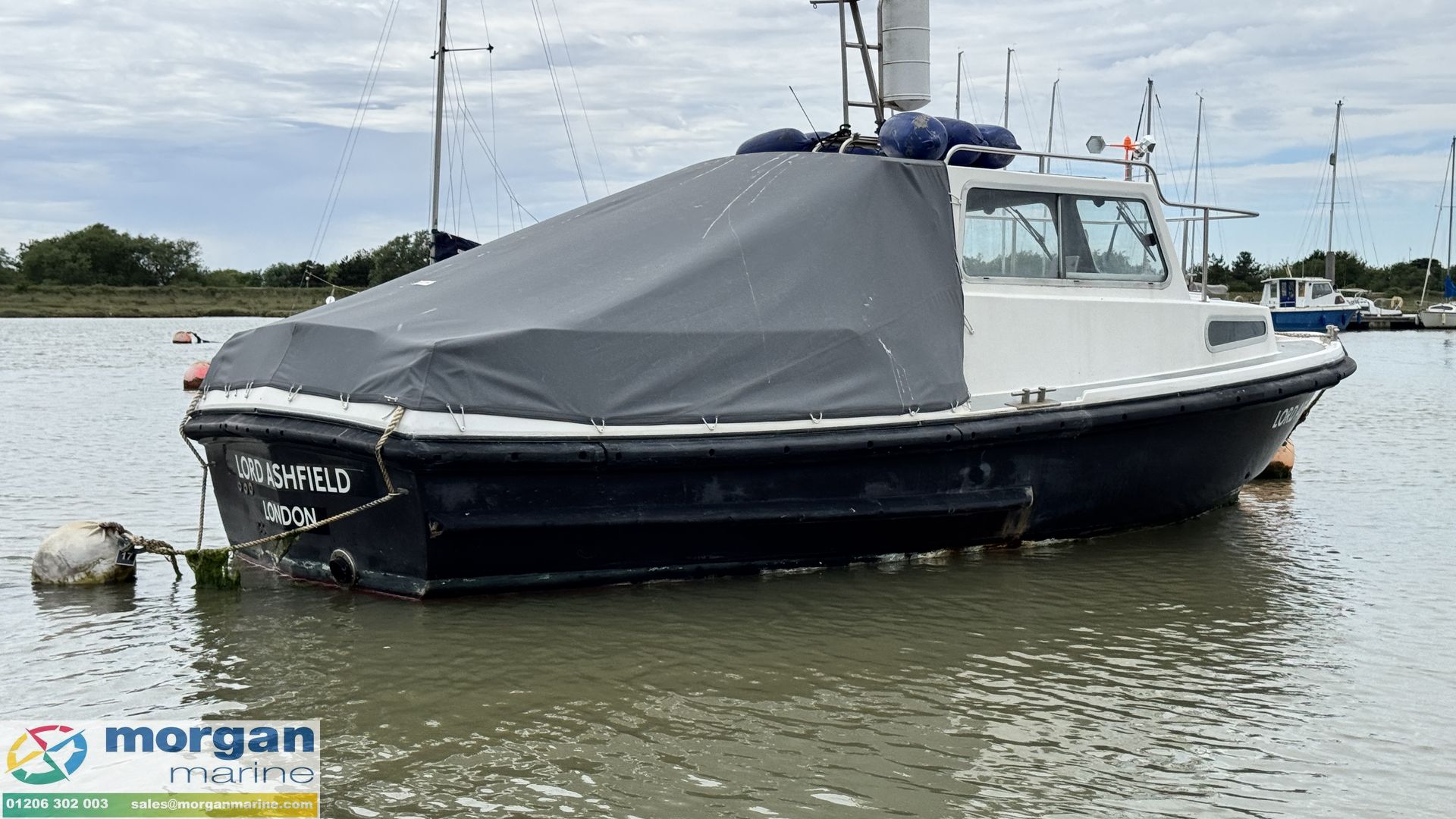 Mitchell 22 Sea Angler MK II -