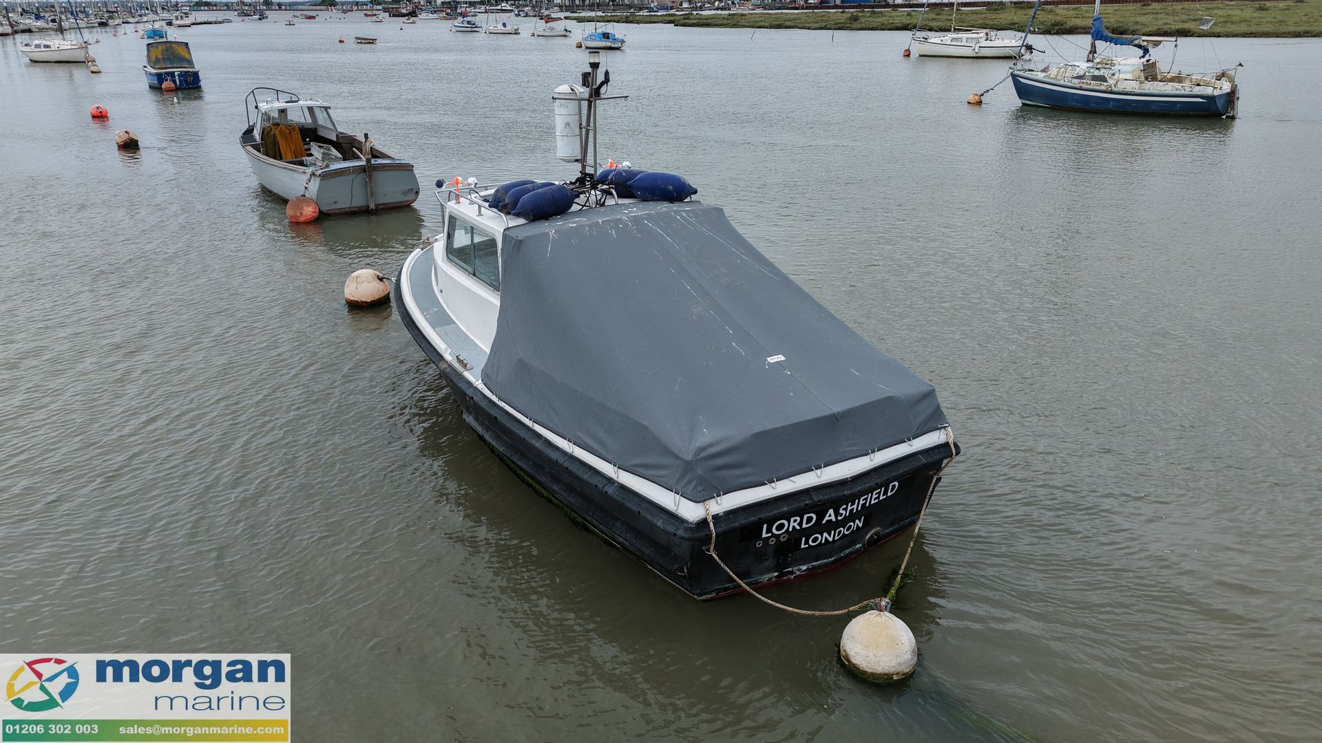 Mitchell 22 Sea Angler MK II -