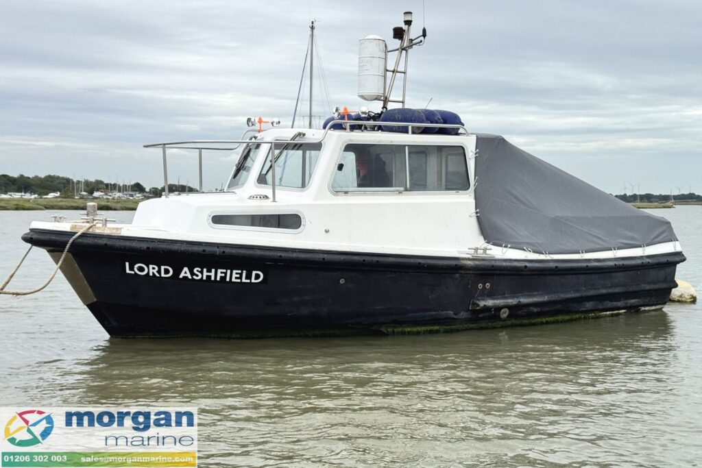 Mitchell 22 Sea Angler MK II