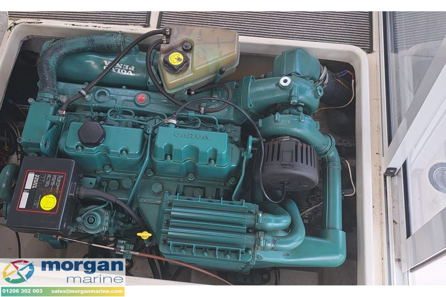 Rodman 700 -