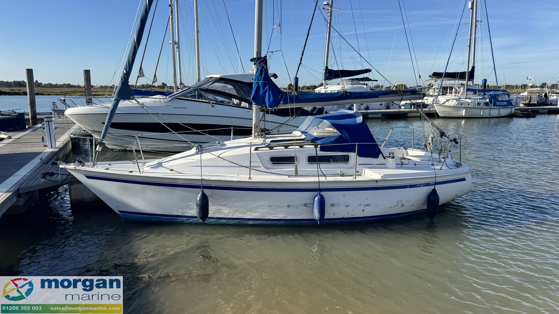 Jaguar 24 -