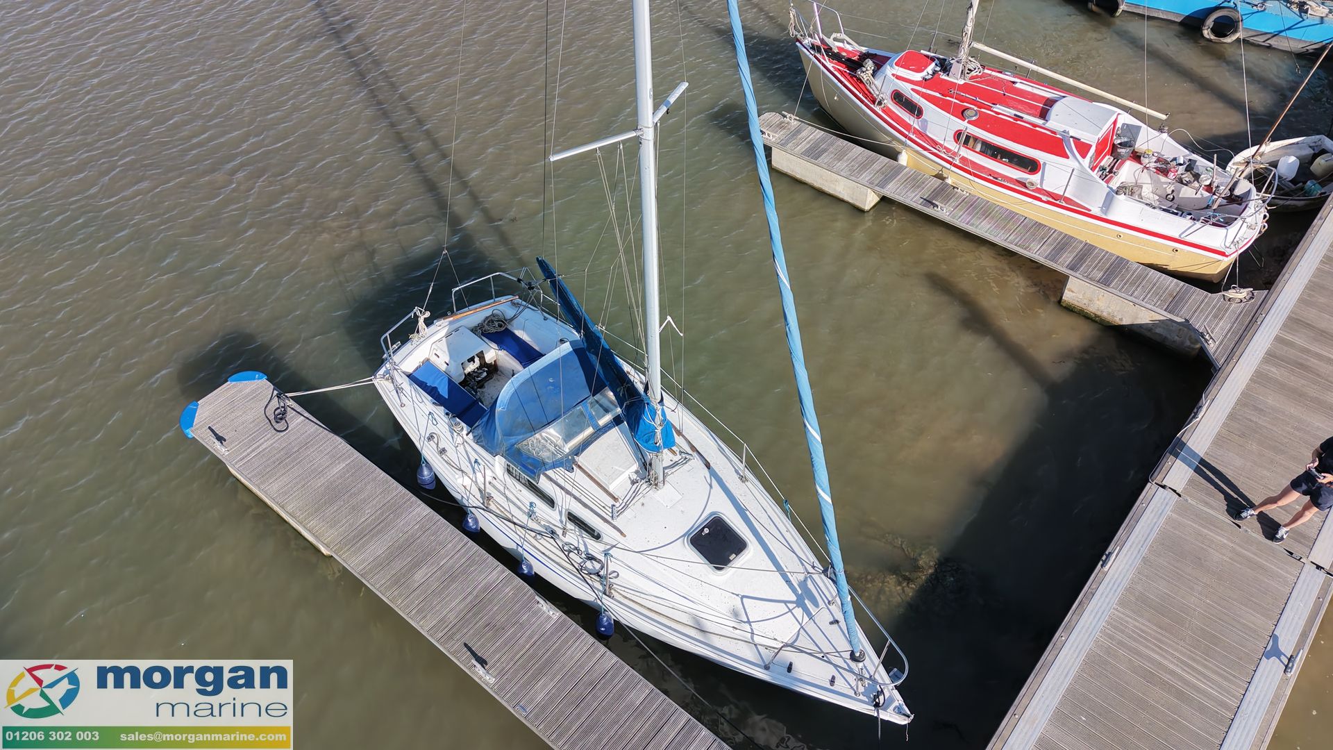 Jaguar 24 -