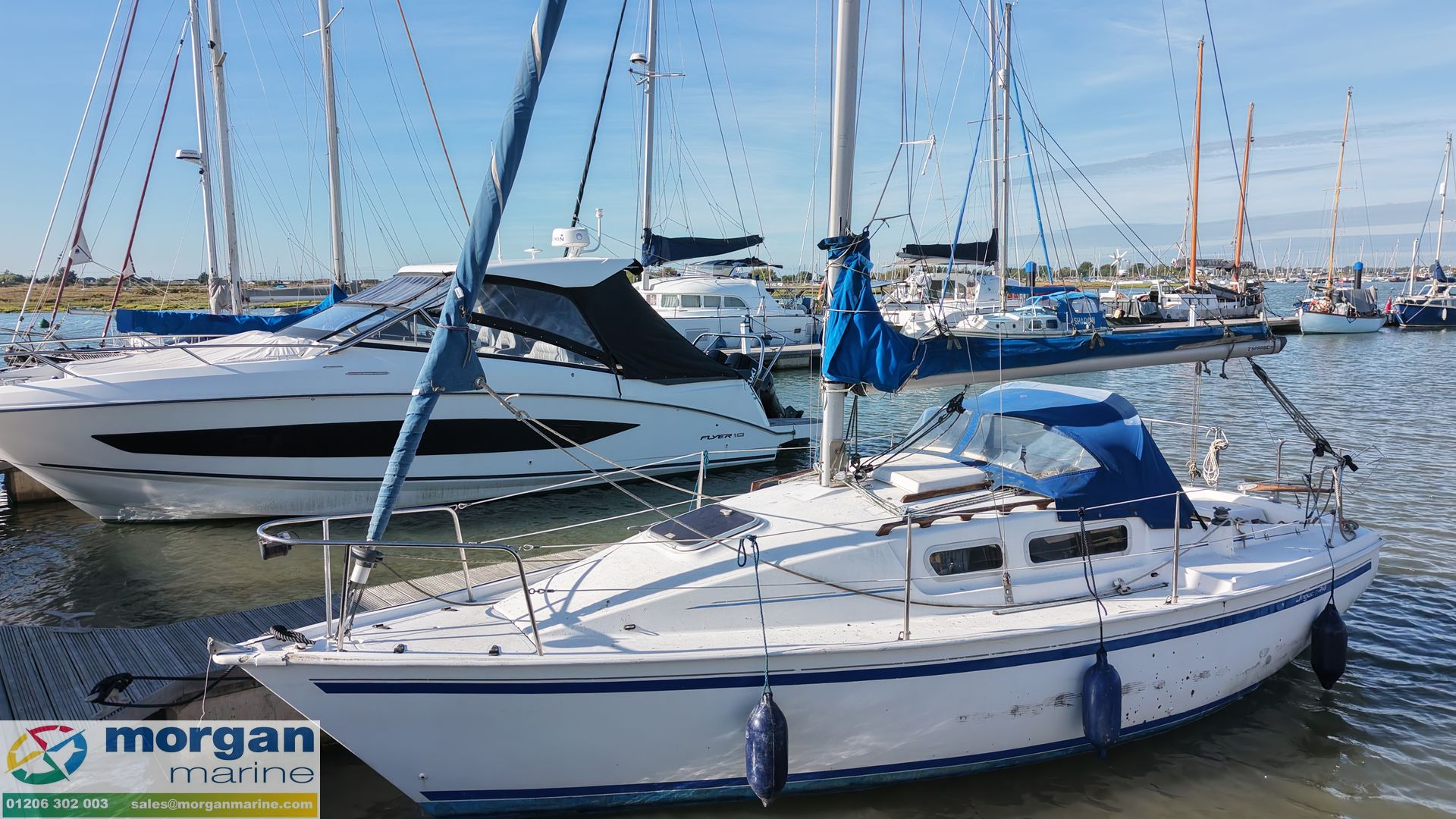 Jaguar 24 -