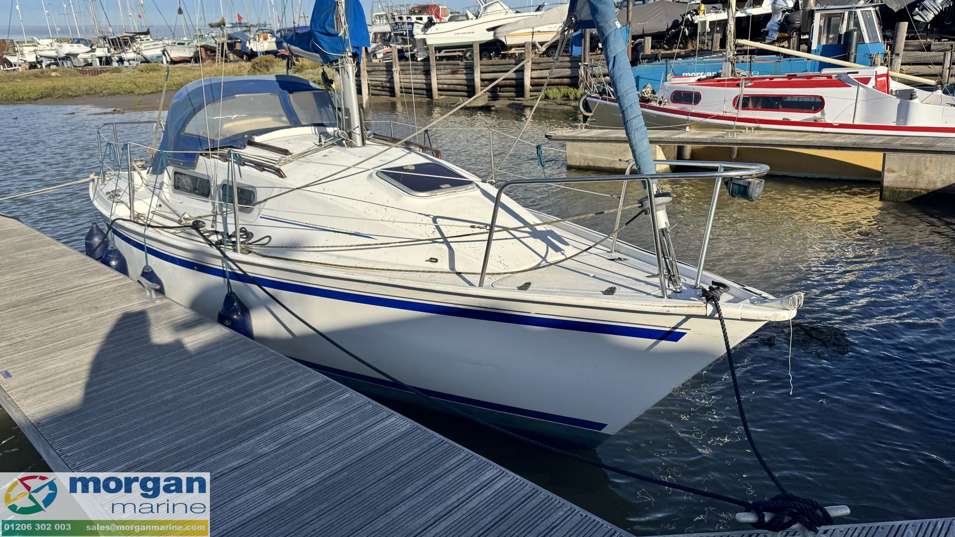 Jaguar 24 -