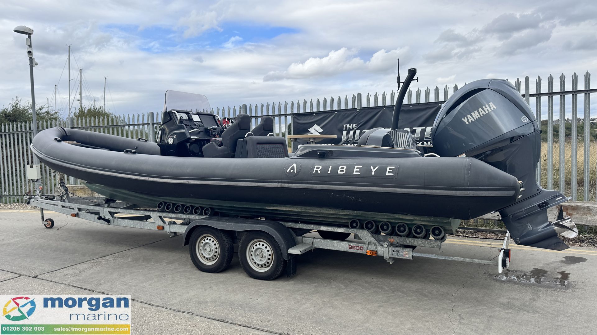 Ribeye A811 -