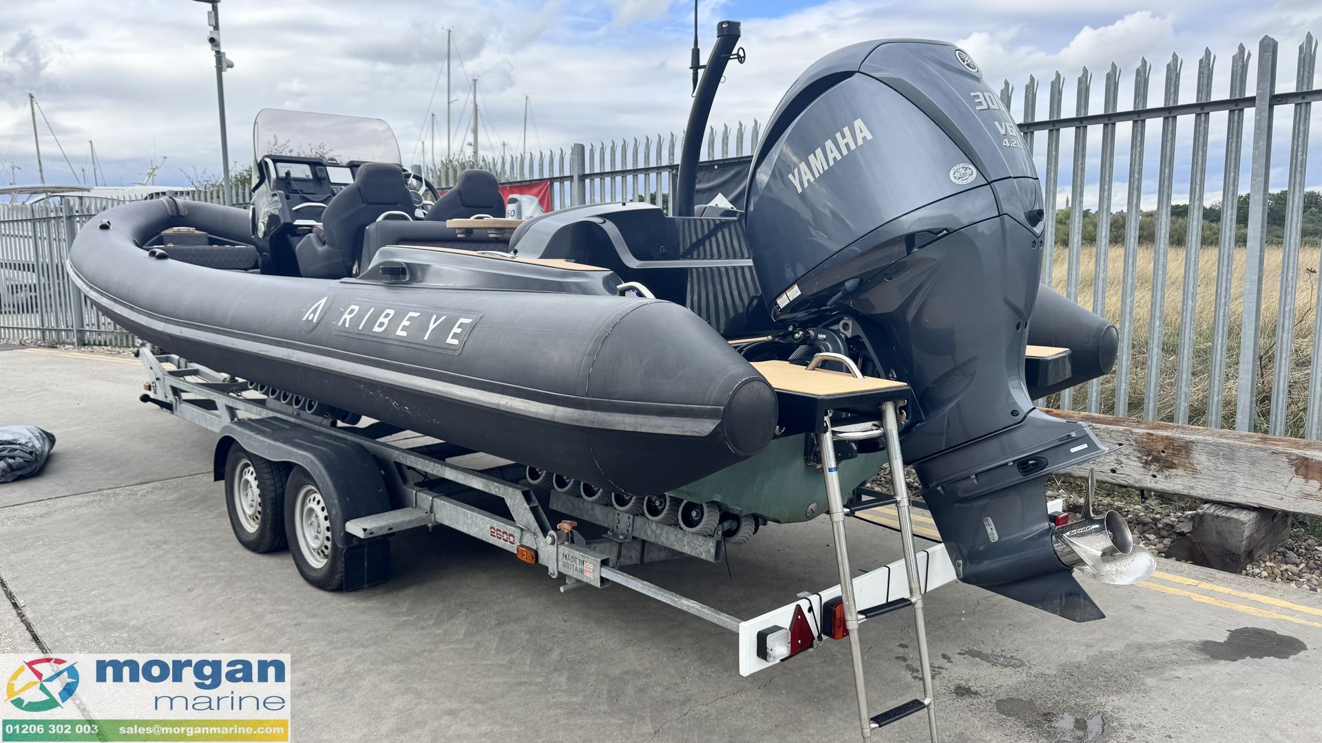 Ribeye A811 -