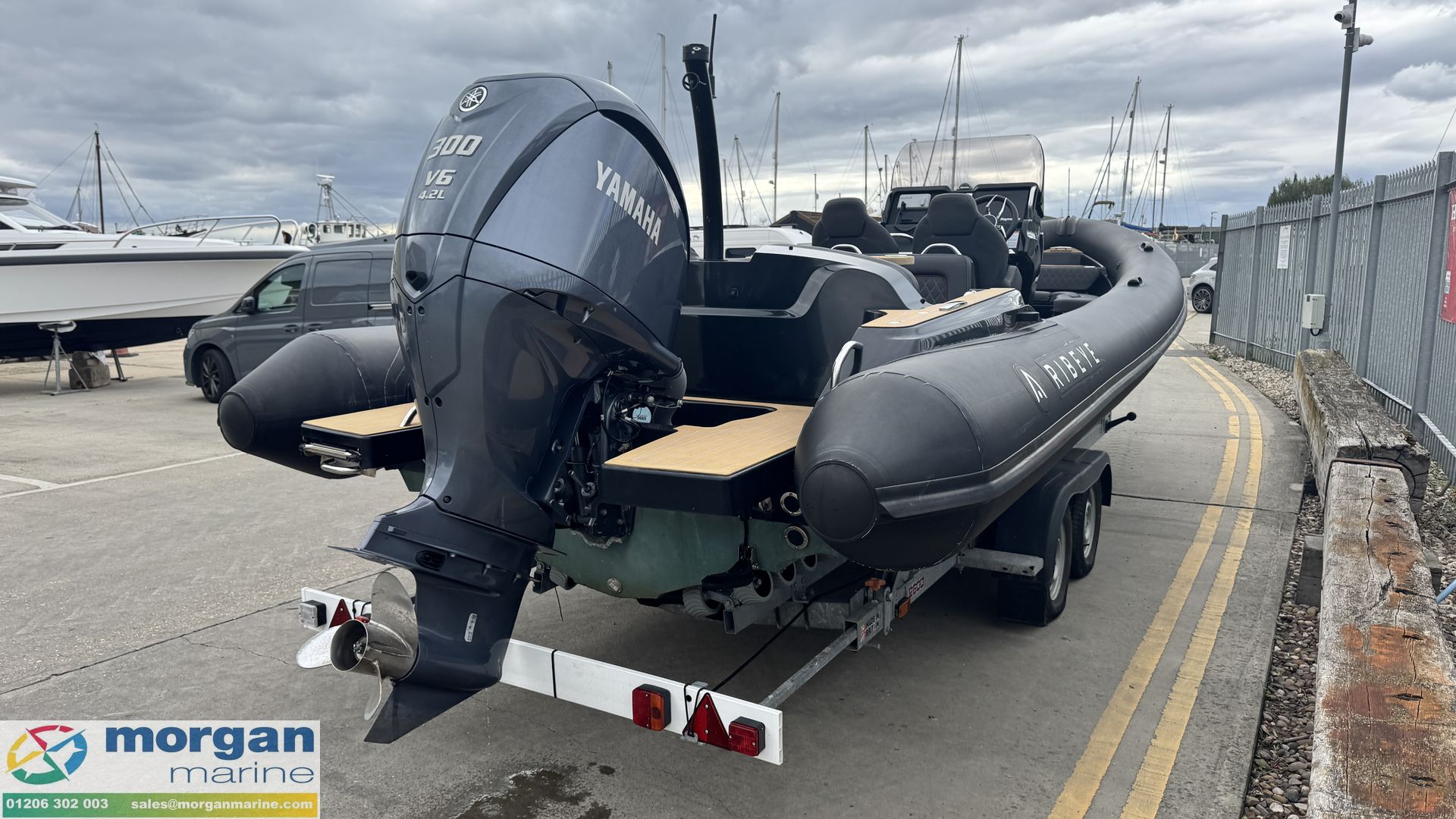 Ribeye A811 -