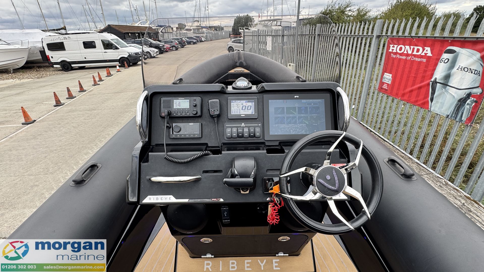 Ribeye A811 -