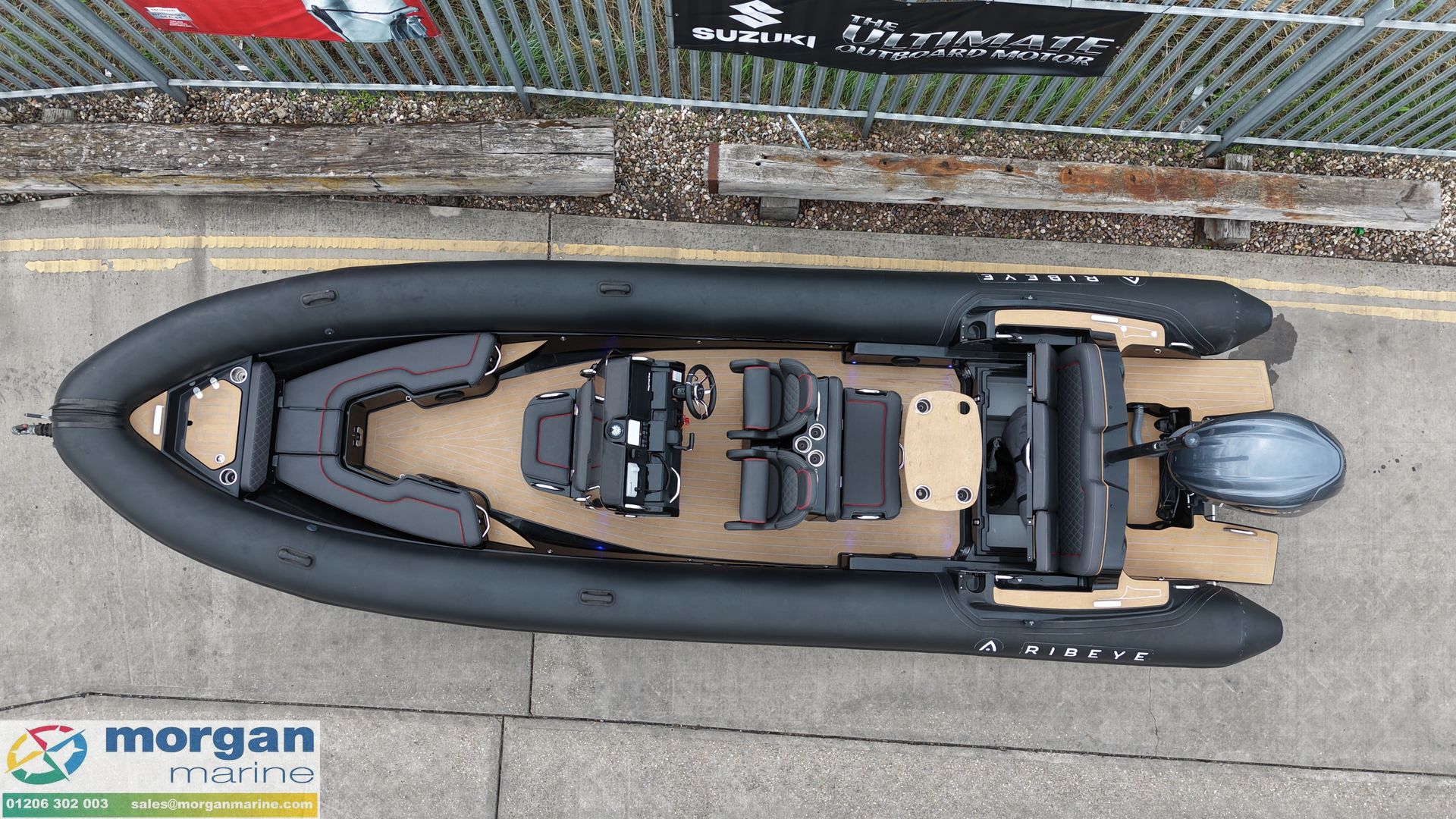 Ribeye A811 -