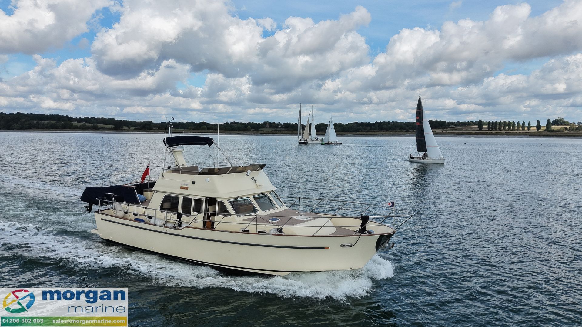 Searanger 448 -